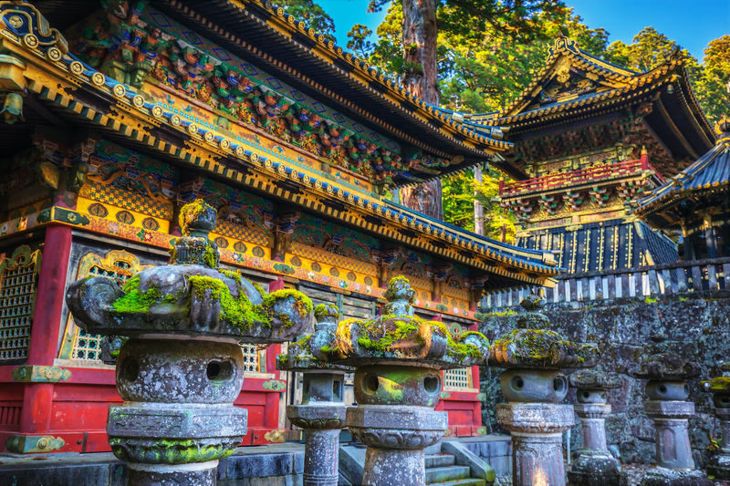 Tokyo Nikko Full-Day Private Experience with Customizable Itinerary - A private day that puts your priorities first