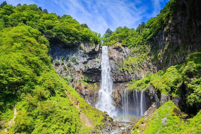 Tokyo Nikko Full-Day Private Experience with Customizable Itinerary - What the driver adds to the day