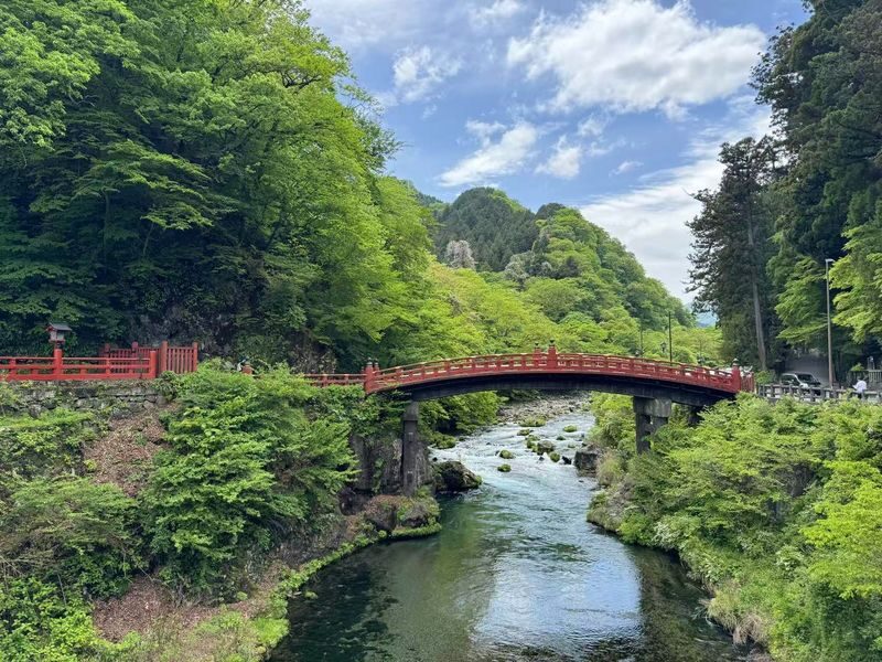 Tokyo Nikko Full-Day Private Experience with Customizable Itinerary - What full-day means for your plans