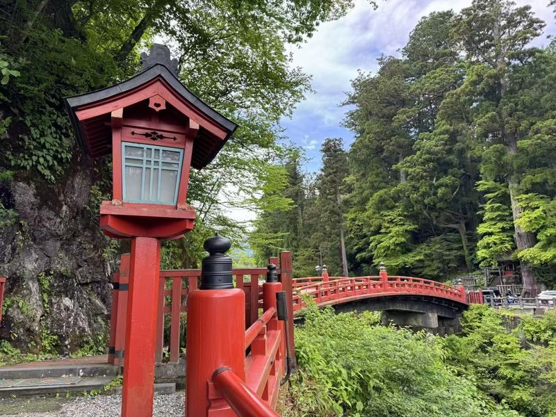 Tokyo Nikko Full-Day Private Experience with Customizable Itinerary - Who is likely to appreciate this format?