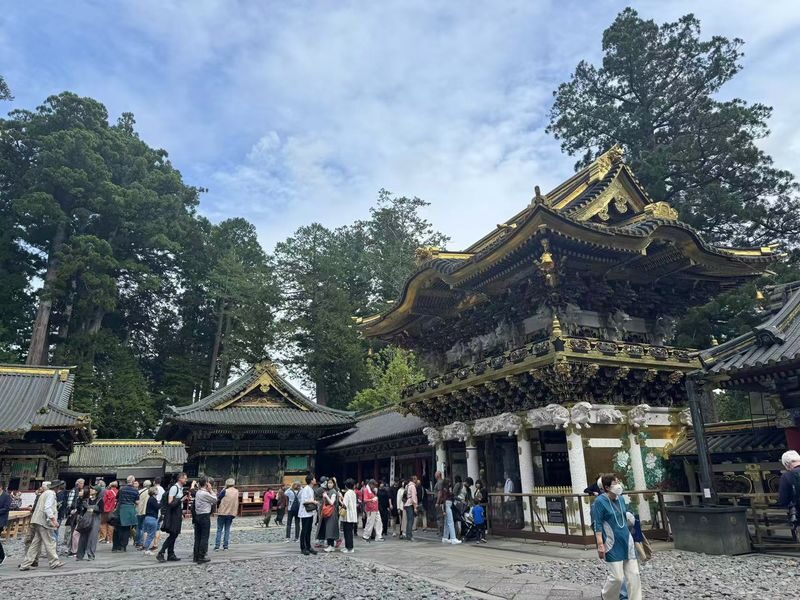 Tokyo Nikko Full-Day Private Experience with Customizable Itinerary - A few details to settle before booking