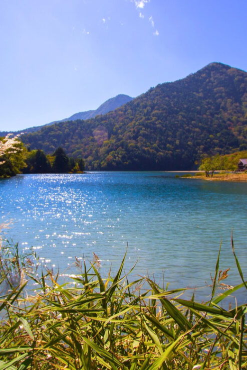 Tokyo: Nikko Highlights Tour With Temples, Waterfalls & Lake - Good To Know