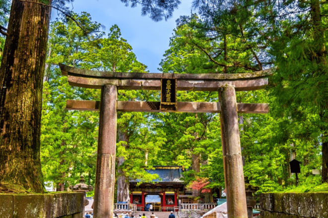 Tokyo: Nikko Highlights Tour With Temples, Waterfalls & Lake - Natural Wonders
