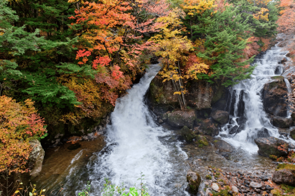Tokyo: Nikko Highlights Tour With Temples, Waterfalls & Lake - Booking and Cancellation Policy