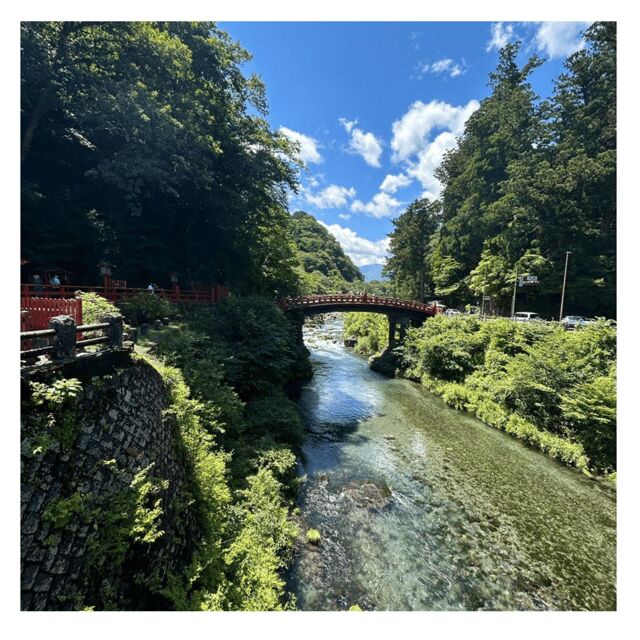 Tokyo: Nikko Kegon Falls Lake Chuzenji Toshogu Temple & More - How the Tour Delivers on Value