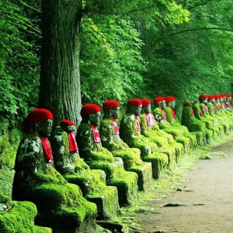 Tokyo: Nikko National Park Private Tour Customised Itinerary - An Introduction to the Nikko Experience