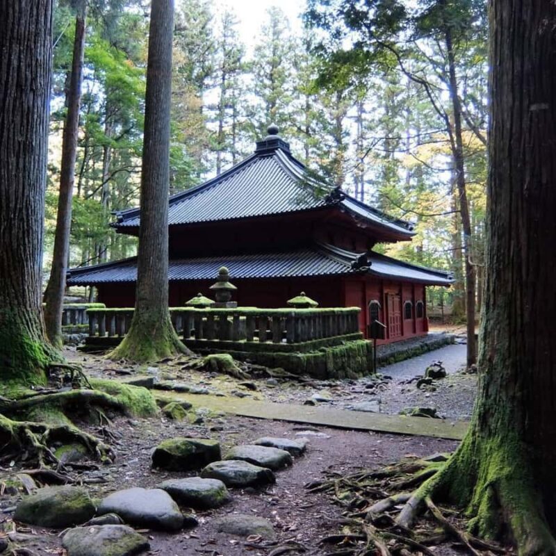 Tokyo: Nikko National Park Private Tour Customised Itinerary - Who Will Love This Tour?