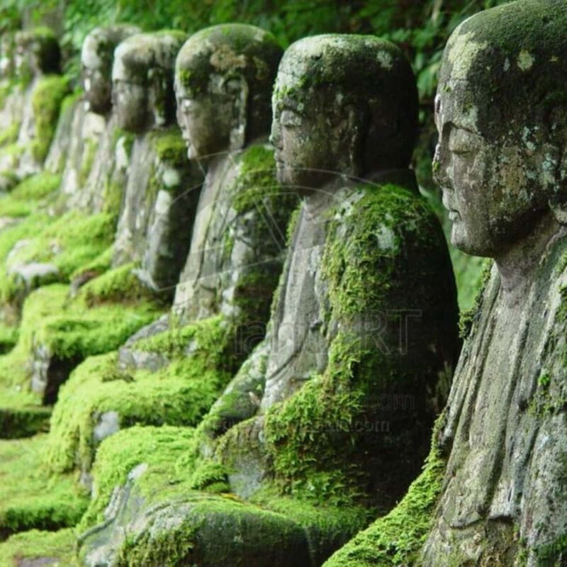Tokyo: Nikko National Park Private Tour Customised Itinerary - The Sum Up
