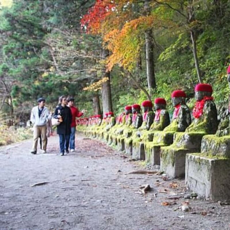 Tokyo: Nikko National Park Private Tour Customised Itinerary - FAQ