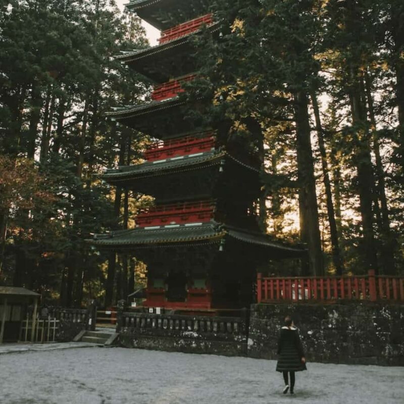 Tokyo: Nikko National Park Private Tour Customised Itinerary - Final Thoughts