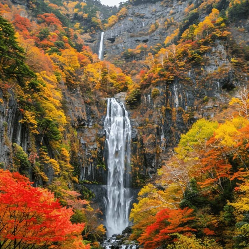 Tokyo: Nikko National Park Private Tour Hotel Pickup & Drop - Value for Money
