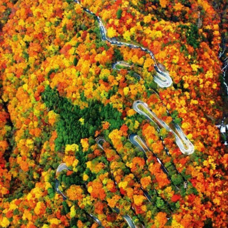 Tokyo: Nikko National Park Private Tour Hotel Pickup & Guide - Final Thoughts