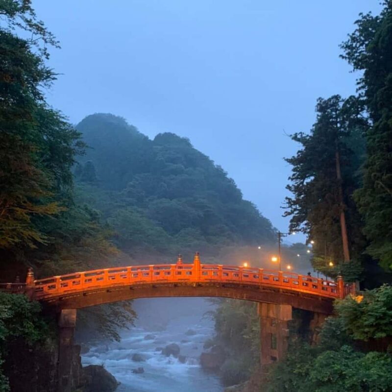Tokyo: Nikko National Park Private Tour Hotel Pickup & Guide - Who Should Consider This Tour?