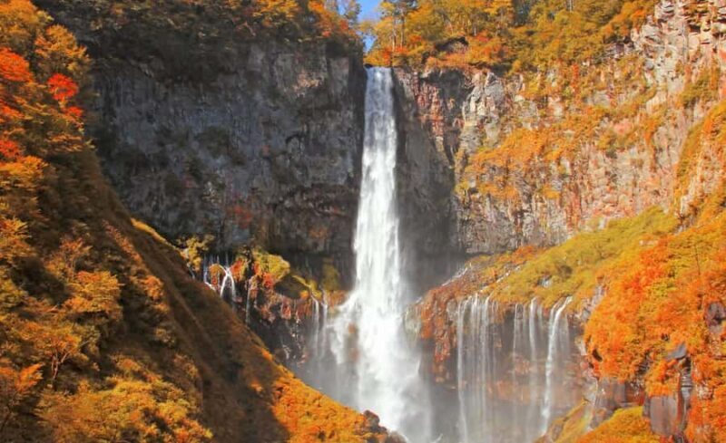 Tokyo: Nikko One Day Private & Customizable Tour - Pricing & Value