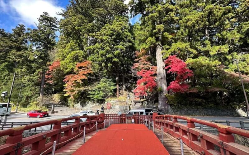 Tokyo: Nikko One Day Private & Customizable Tour - Good To Know  