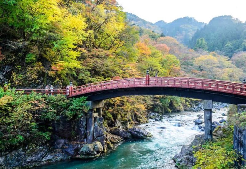 Tokyo: Nikko Private Customized Tour English Driver & Guide - The Value of a Private, Customizable Tour