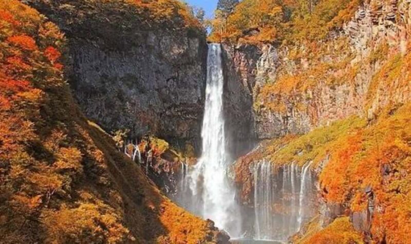 Tokyo: Nikko Private Customized Tour English Driver & Guide - Final Thoughts