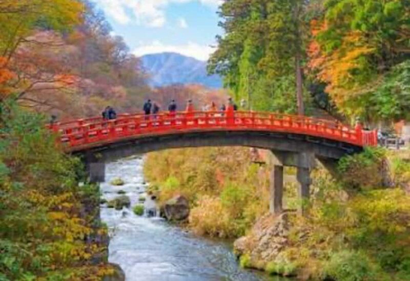 Tokyo: Nikko Private Customized Tour With Hotel Pick-up - Why Choose the Tokyo: Nikko Private Customized Tour?