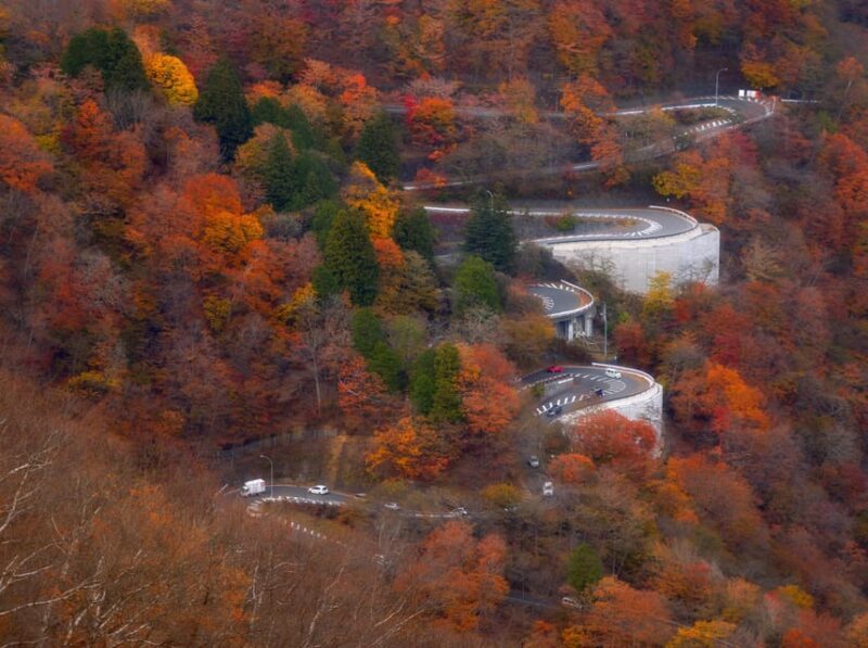 Tokyo: Nikko Private Day Tour English Speaking Driver - Final Thoughts