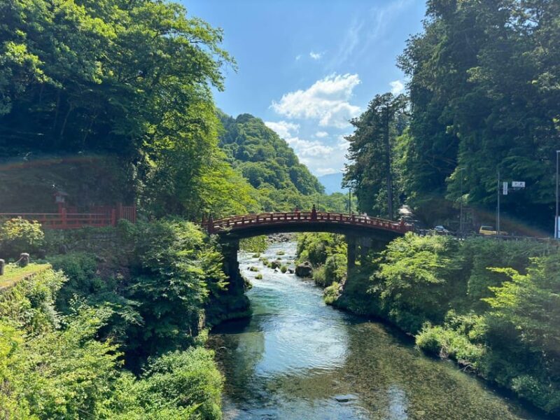 Tokyo: Nikko Private Day Tour - Why Choose the Tokyo: Nikko Private Day Tour?