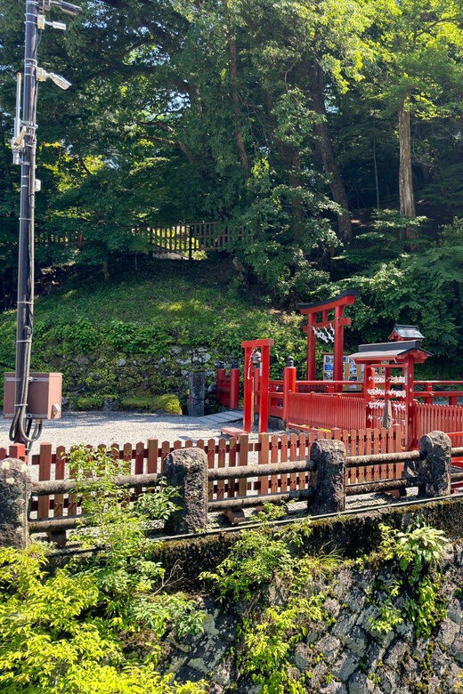 Tokyo: Nikko Private Day Tour - Practical Aspects and What to Expect