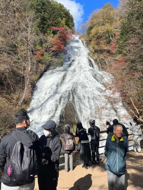 Tokyo: Nikko Private Day Tour with Pickup - Exploring the Tokyo to Nikko Private Day Tour: A Perfect Blend of Nature and Culture
