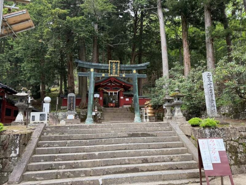 Tokyo: Nikko Private Day Tour with Pickup - Who Would Love This Tour?