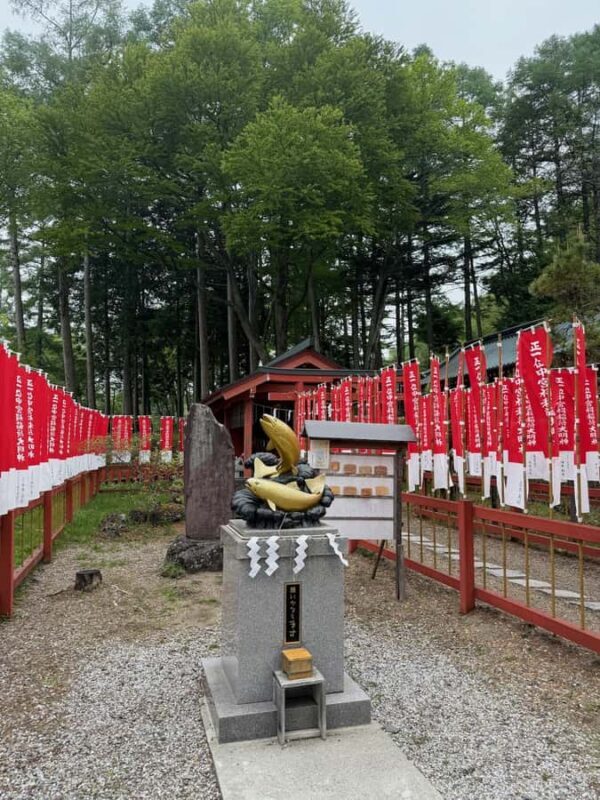 Tokyo: Nikko Private Day Tour with Pickup - Final thoughts