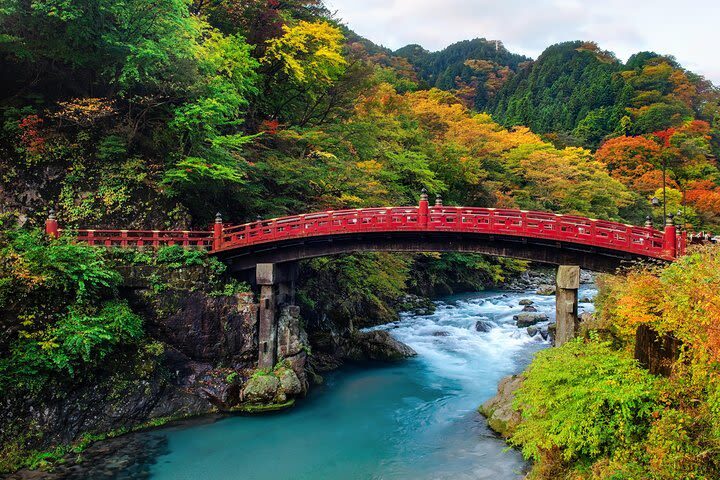 Tokyo Nikko Private Full-Day Temples Tour - Tokyo to Nikko, with the day’s driving taken care of
