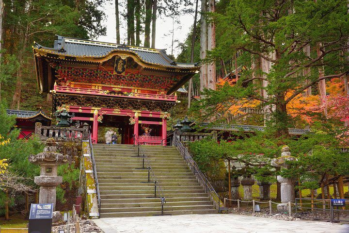 Tokyo Nikko Private Full-Day Temples Tour - A driver, not always a guide inside the sights