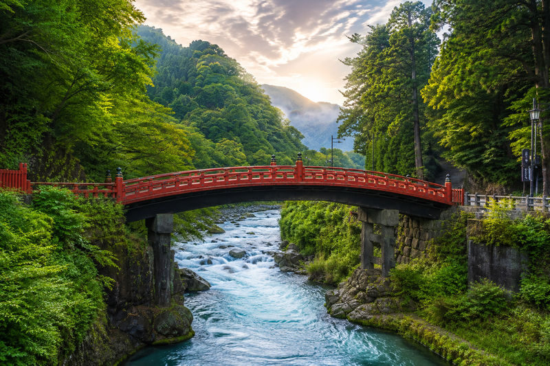 Tokyo Nikko Private Full-Day Tour with Transfers - At a glance