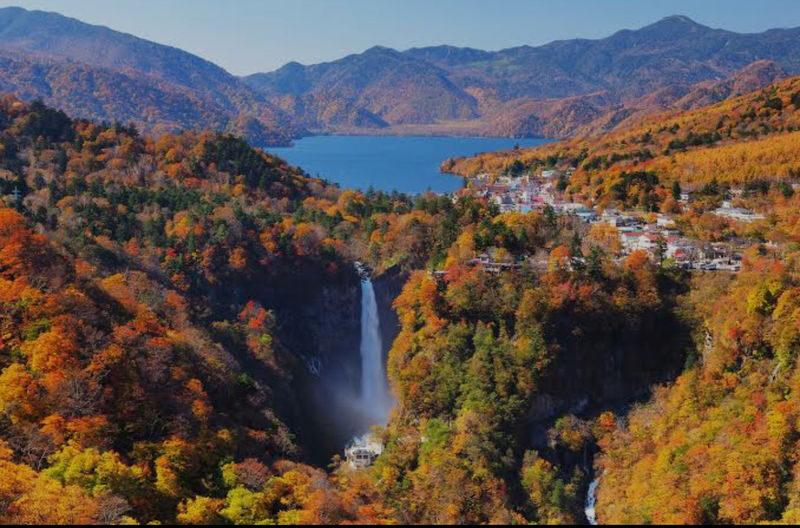 Tokyo Nikko Private Full-Day Tour with Transfers - Why a private car changes a Nikko day
