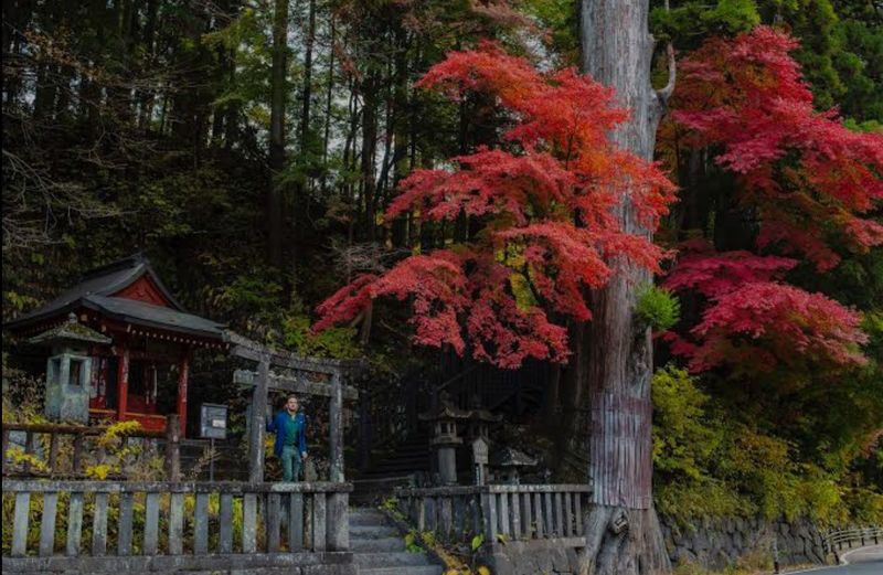 Tokyo Nikko Private Full-Day Tour with Transfers - Kegon Falls and Lake Chuzenji: the mountain side of Nikko