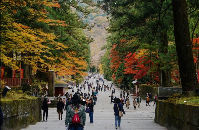 Tokyo Nikko Private Full-Day Tour with Transfers - Shinkyo Bridge, shrines, and temples: allow time to look