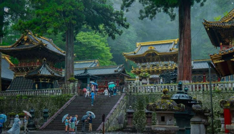 Tokyo Nikko Private Full-Day Tour with Transfers - Optional additions: villa, gorge, and extra stops