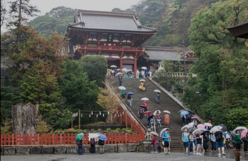 Tokyo Nikko Private Full-Day Tour with Transfers - Driver and vehicle quality: what to confirm