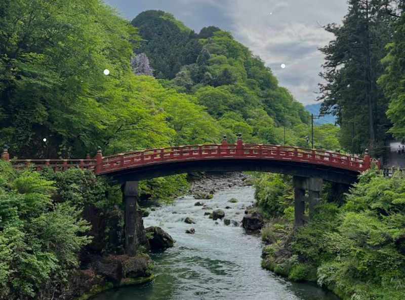 Tokyo Nikko Private Full-Day Tour with Transfers - What the price buys, and who gets the best value