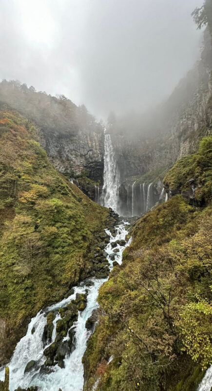 Tokyo Nikko Private Full-Day Tour with Transfers - Should you book this Nikko tour?