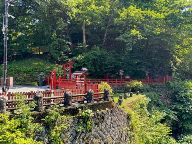 Tokyo: Nikko Private One Day Tour - Natural Attractions
