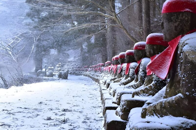 Tokyo: Nikko Private Sightseeing Day Trip with Driver - Who Will Love This Tour?
