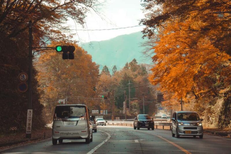 Tokyo: Nikko Private Tour with Lunch and Wine Tasting - An In-Depth Look at the Nikko Private Tour Experience