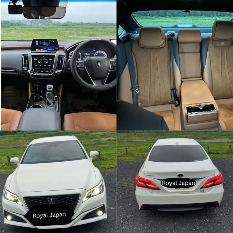 Tokyo: Nikko Private World Heritage Day Tour Full Customised - An In-Depth Look at the Tour Experience