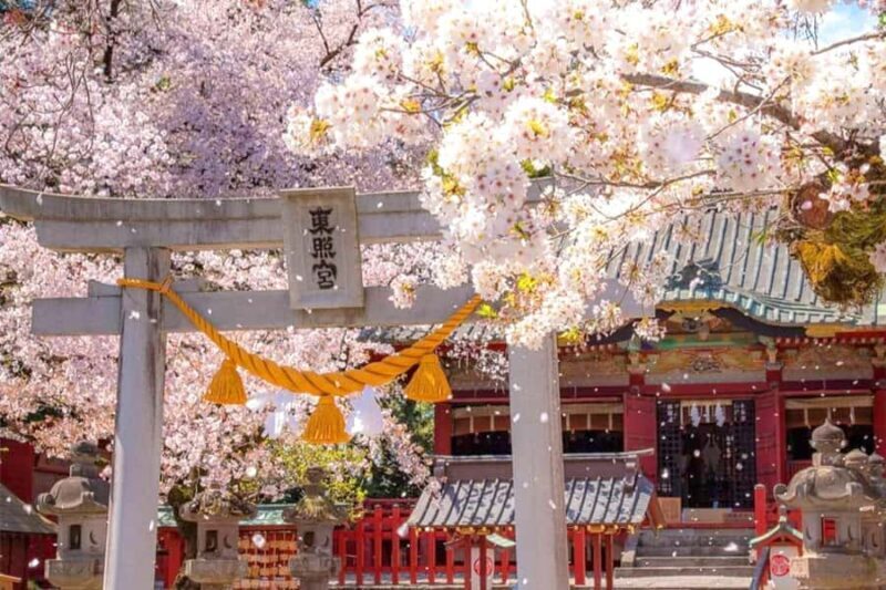 Tokyo: Nikko Shrines, Waterfalls & Scenic Day Trip - A Deep Dive into the Experience