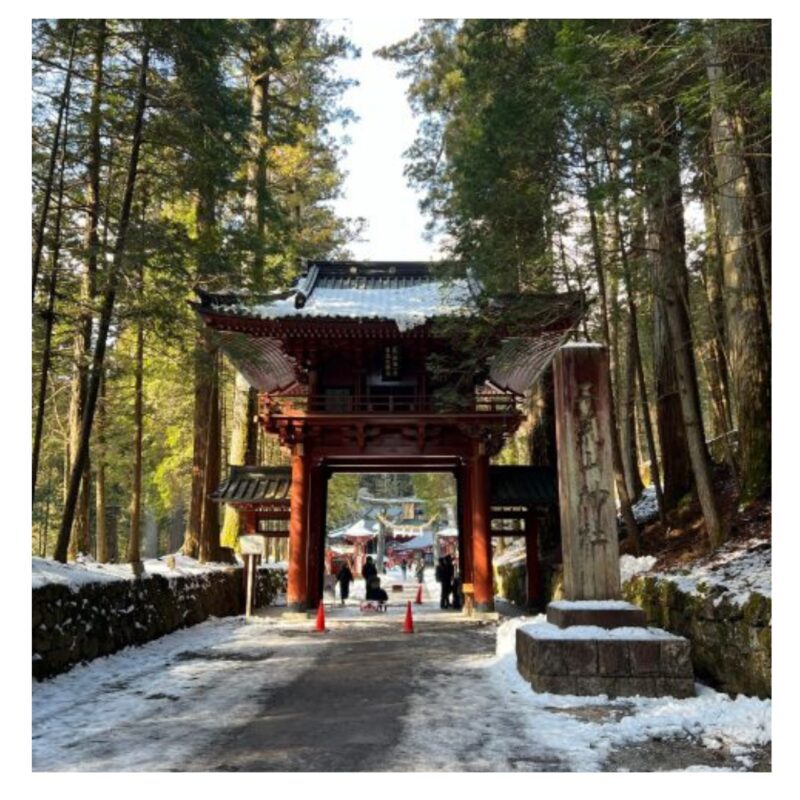 Tokyo: Nikko Shrines, Waterfalls & Scenic Day Trip - Who Will Love This Tour?