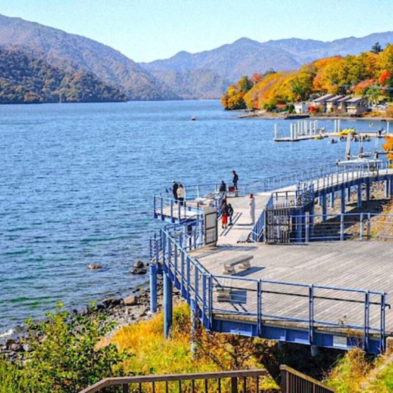 Tokyo: Nikko Unesco Heritage Private Day Tour & Hotel Pickup - Who Would Love This Tour?