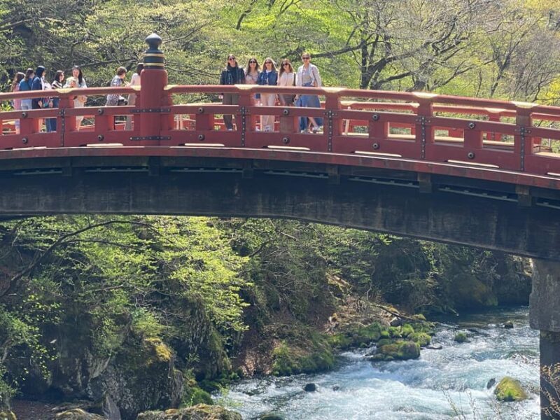 Tokyo: Nikko Unesco World Heritage Private Day Tour & Pickup - What’s Not Included?