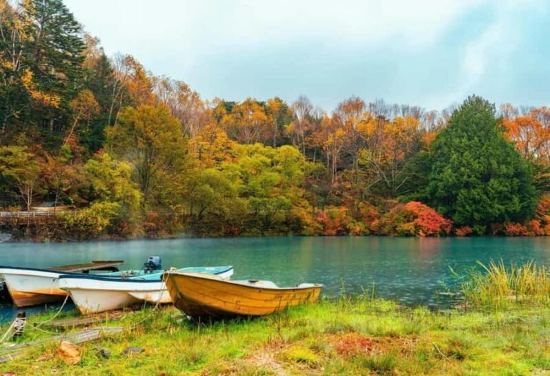 Tokyo: Nikko World Heritage Full-Day Private Tour - Good To Know