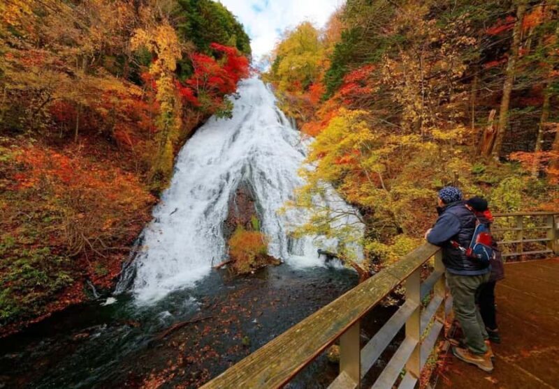 Tokyo: Nikko World Heritage Full-Day Private Tour - Final Thoughts