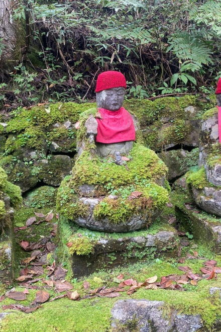 Tokyo: Nikko World Heritage Private Tour By English Guide - Comfort and Amenities