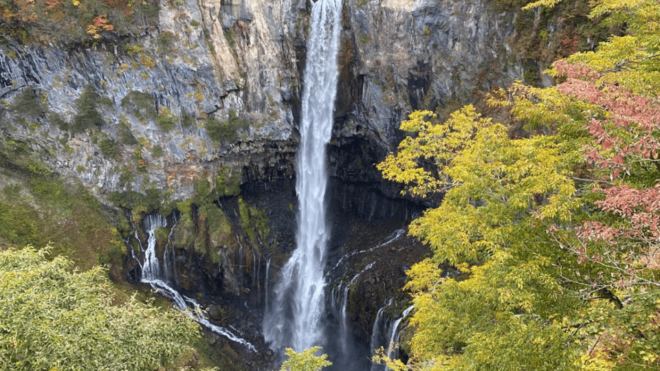 Tokyo: Nikko World Heritage Private Tour By English Guide - Important Information